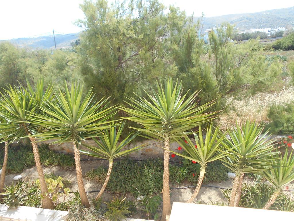 Acti Plaka Hotel Exterior foto